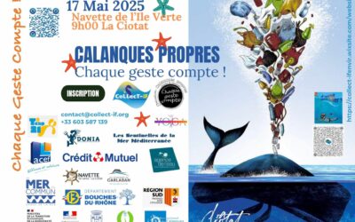 Opération Calanques propres